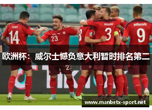 欧洲杯：威尔士憾负意大利暂时排名第二
